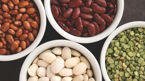 beans as a source of vegetarian protein 