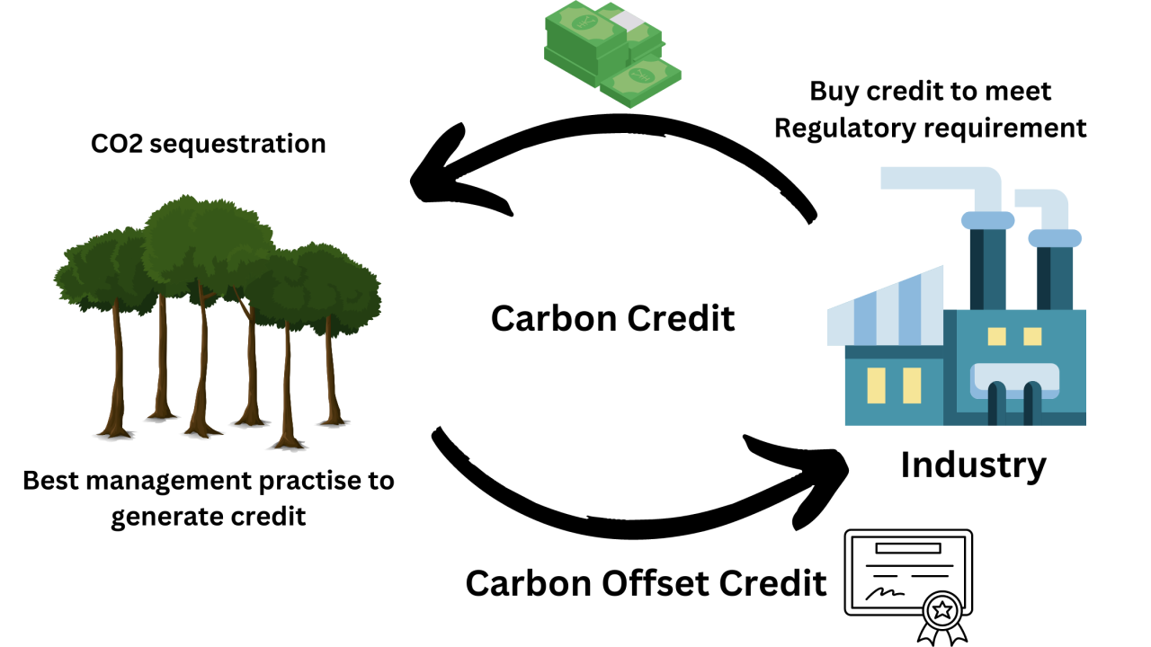 Carbon Credits