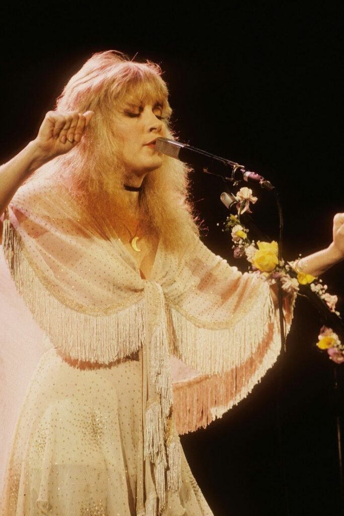 stevie nicks in clothes characteristic of whimsigothic aesthetic