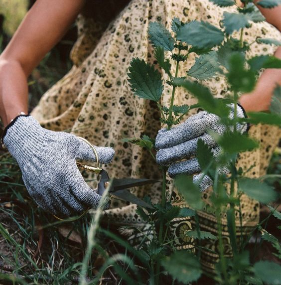 gardening