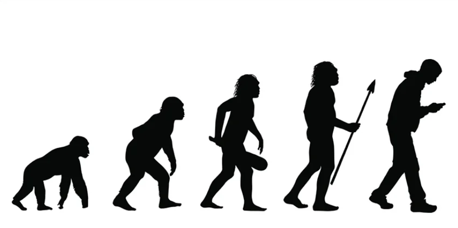 Evolution of Human Beings to describe the excess usage of Mobile among people