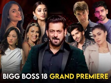 Bigg Boss Contestants