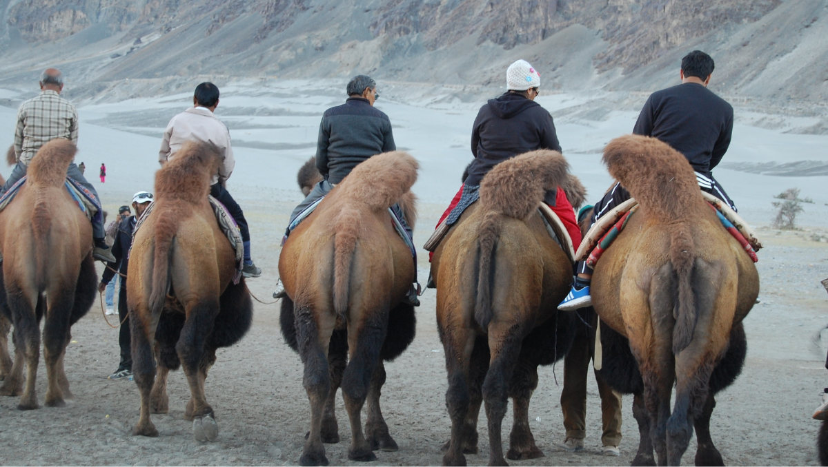 people in ladakh 