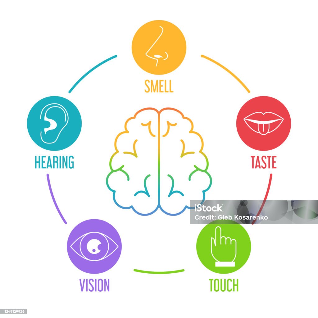 Five human senses represent human cognition tools, artificial intelligence is trying to catch up with.