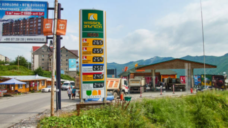 The image shows a gas station in a mountainous area, with a prominent Wissol signboard displaying fuel prices in Georgia.