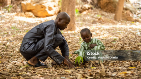 Ahead of the UNCCD summit of 200 nations in Riyadh this week, a paper on the sustainability of the land reports that land is degrading at the rate of 1 million sq km per year.