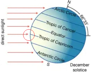 Winter Solstice in the southern hemisphere.

Courtesy: Pinelanenursery