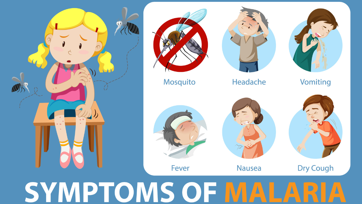 Symptoms of malaria