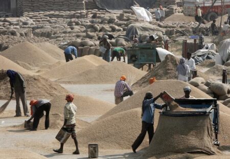 India's winter expected to be warmer, threatening wheat yields